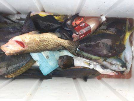 群星・むるぶし 釣果