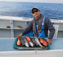 太郎丸 釣果