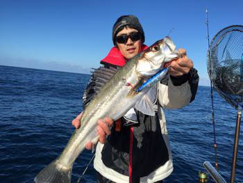 シーモンキー 釣果