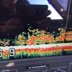 シーモンキー 釣果