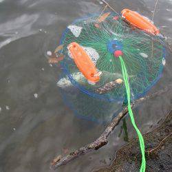 志高湖フィッシング 釣果