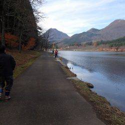 志高湖フィッシング 釣果