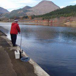 志高湖フィッシング 釣果