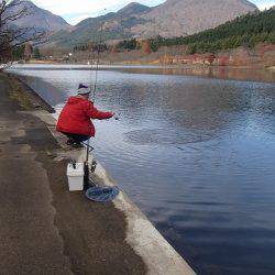 志高湖フィッシング 釣果
