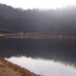 志高湖フィッシング 釣果