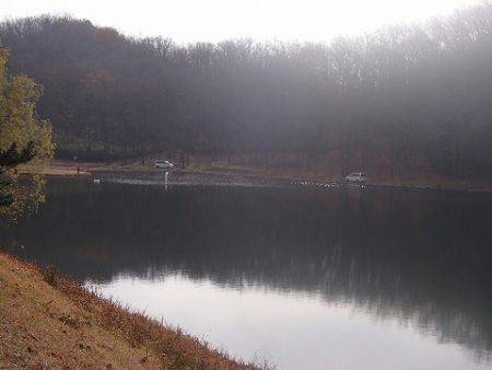 志高湖フィッシング 釣果