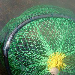 志高湖フィッシング 釣果