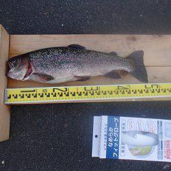 志高湖フィッシング 釣果