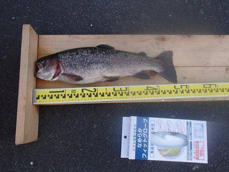 志高湖フィッシング 釣果