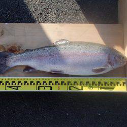 志高湖フィッシング 釣果