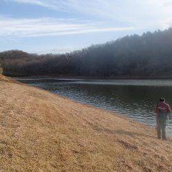 志高湖フィッシング 釣果