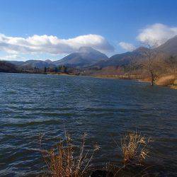 志高湖フィッシング 釣果