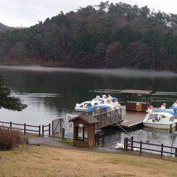 志高湖フィッシング 釣果