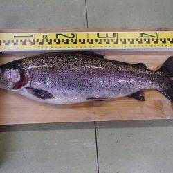 志高湖フィッシング 釣果