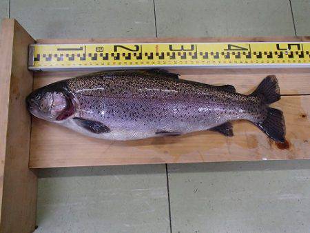 志高湖フィッシング 釣果