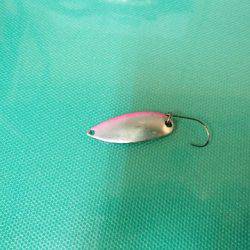 志高湖フィッシング 釣果