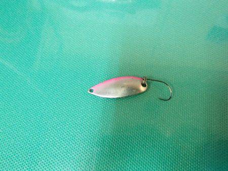 志高湖フィッシング 釣果