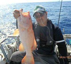 クルーザーフィッシングトムトム 釣果