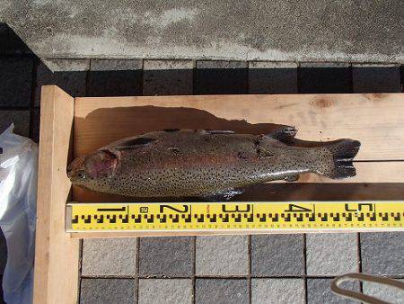 志高湖フィッシング 釣果