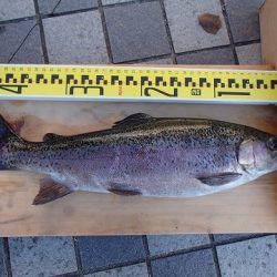 志高湖フィッシング 釣果