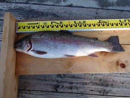 志高湖フィッシング 釣果