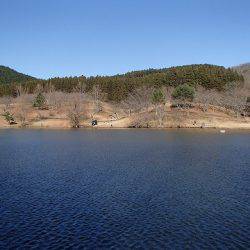 志高湖フィッシング 釣果