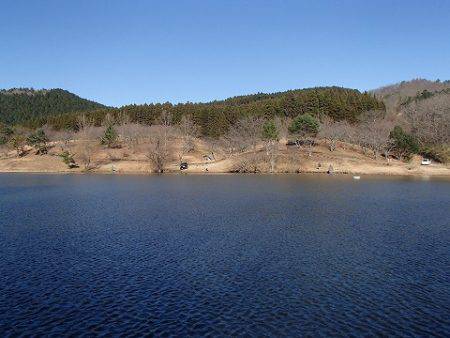 志高湖フィッシング 釣果