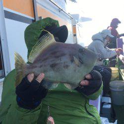 えさ政釣船店 釣果