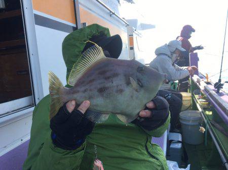 えさ政釣船店 釣果