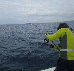ことぶき丸 釣果