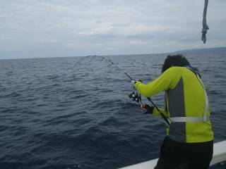 ことぶき丸 釣果