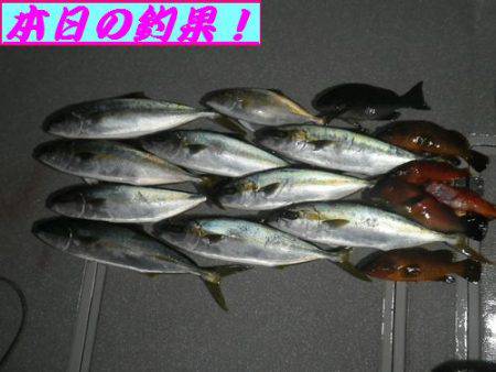 幸和丸 釣果