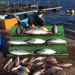 みうら海王 釣果