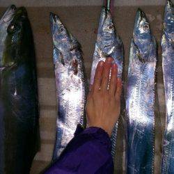 火遠理丸（ほおりまる） 釣果