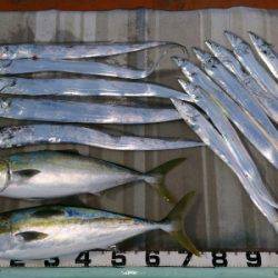 火遠理丸（ほおりまる） 釣果