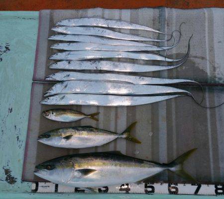 火遠理丸（ほおりまる） 釣果