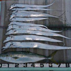 火遠理丸（ほおりまる） 釣果