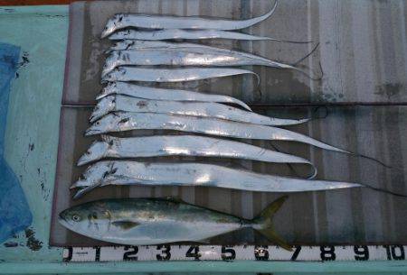 火遠理丸（ほおりまる） 釣果