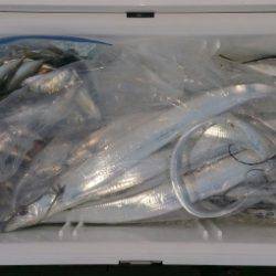 火遠理丸（ほおりまる） 釣果