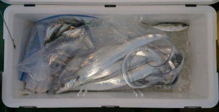 火遠理丸（ほおりまる） 釣果