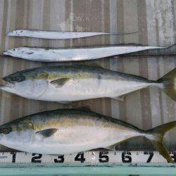 火遠理丸（ほおりまる） 釣果