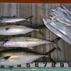 火遠理丸(ほおりまる) 釣果