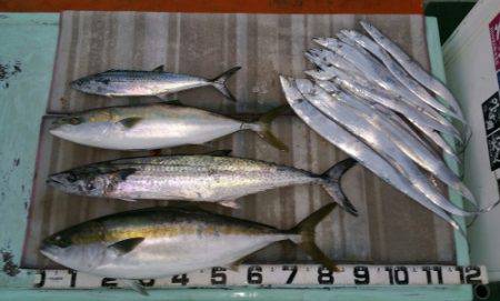 火遠理丸(ほおりまる) 釣果