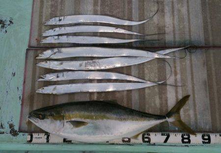 火遠理丸(ほおりまる) 釣果