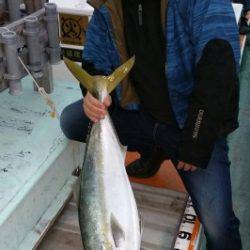 火遠理丸（ほおりまる） 釣果