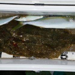 火遠理丸（ほおりまる） 釣果