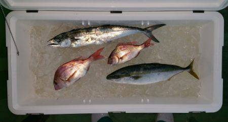 火遠理丸（ほおりまる） 釣果