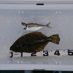 火遠理丸（ほおりまる） 釣果