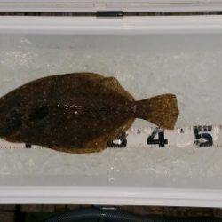 火遠理丸(ほおりまる) 釣果