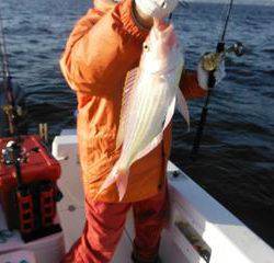 開進丸 釣果